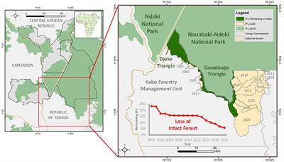 Impacts of Selective Logging and Associated Anthropogenic Disturbance on Intact Forest Landscapes and Apes of Northern Congo